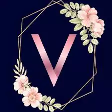 stylish v letter dp